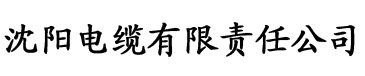 欧美日韩免费一区二区三区电缆厂logo